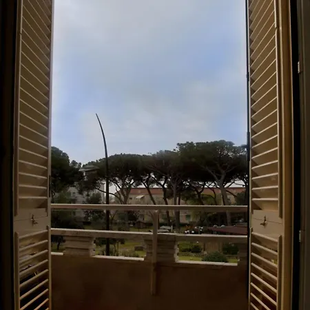 Sh *